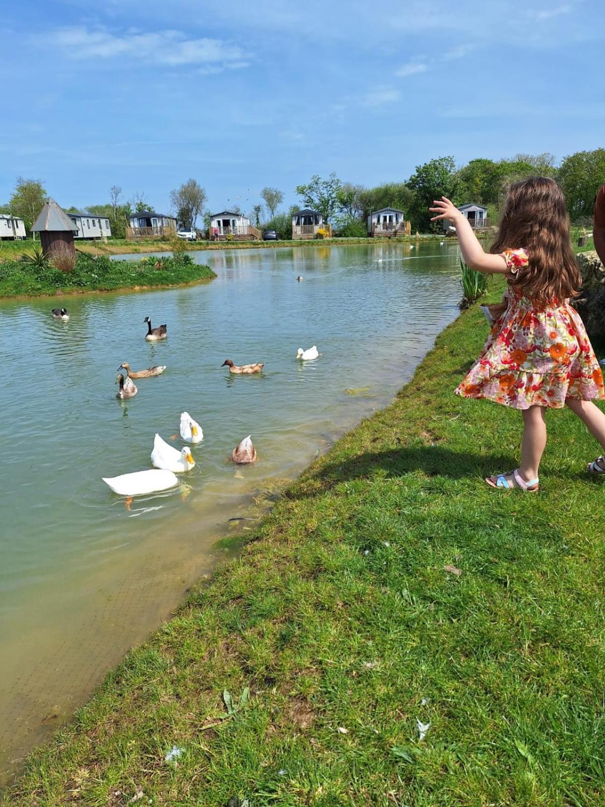 Saint Florence Beautiful 2 Bedroom Caravan, Holiday Park Tenby מראה חיצוני תמונה